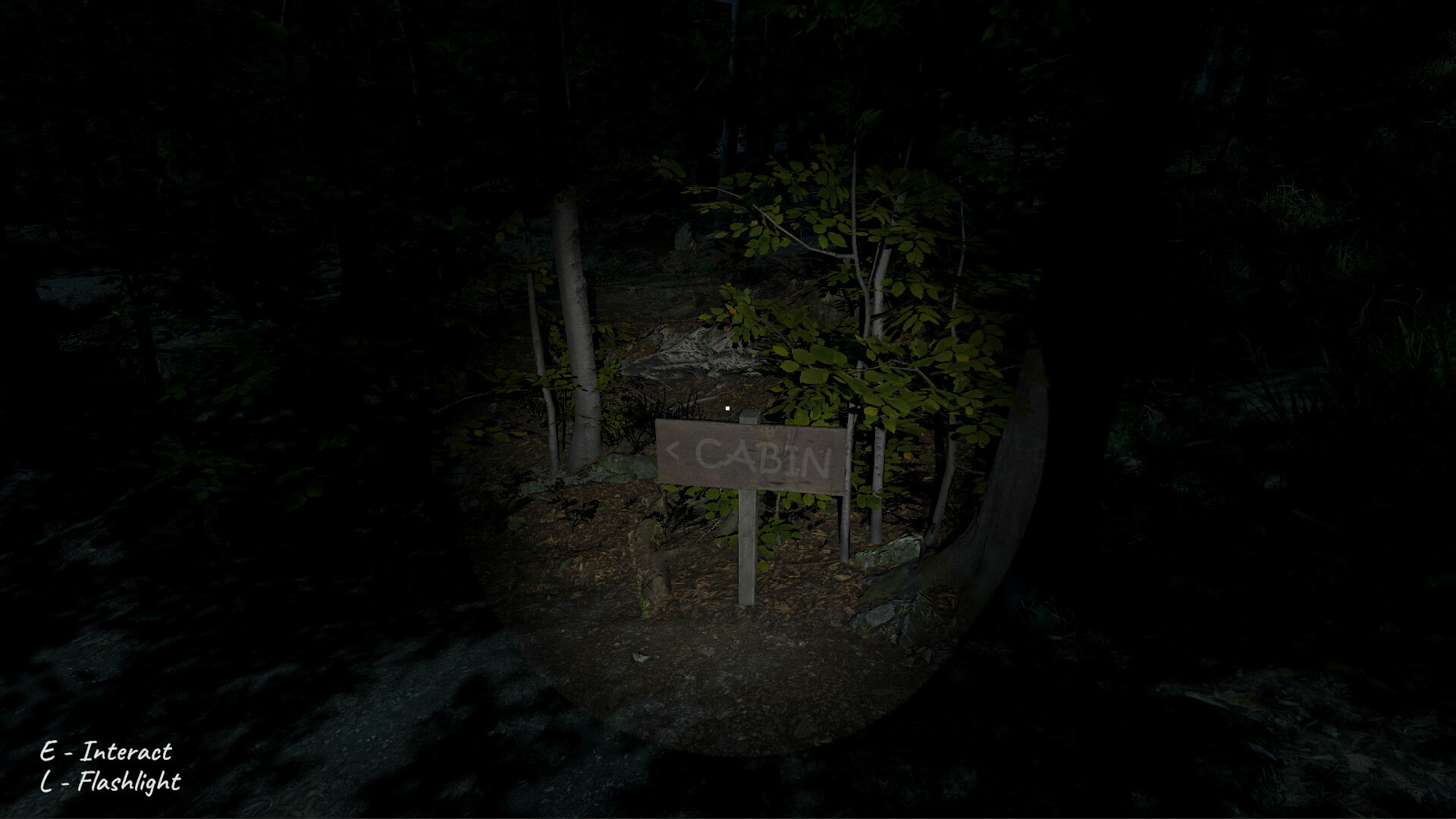 Project Unknown Designation