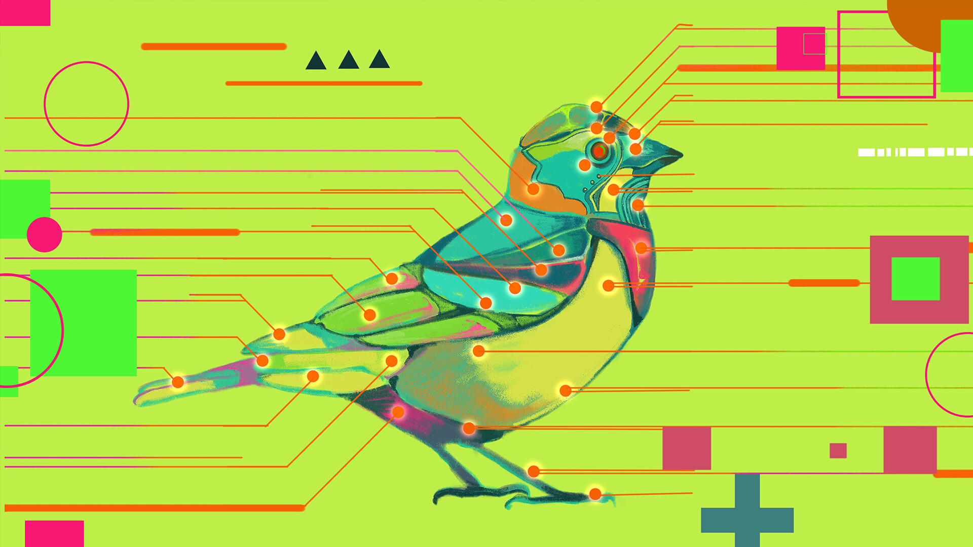 Avian Enigma