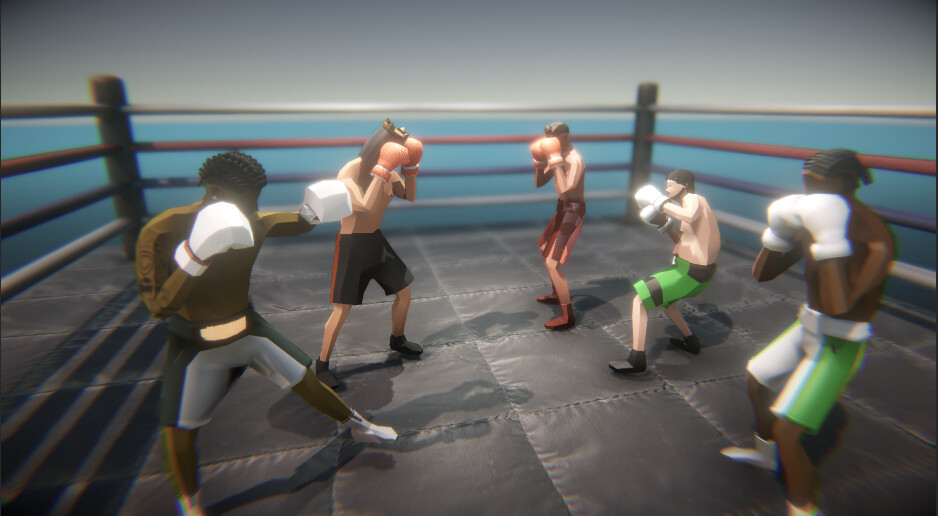 Influencer Boxing