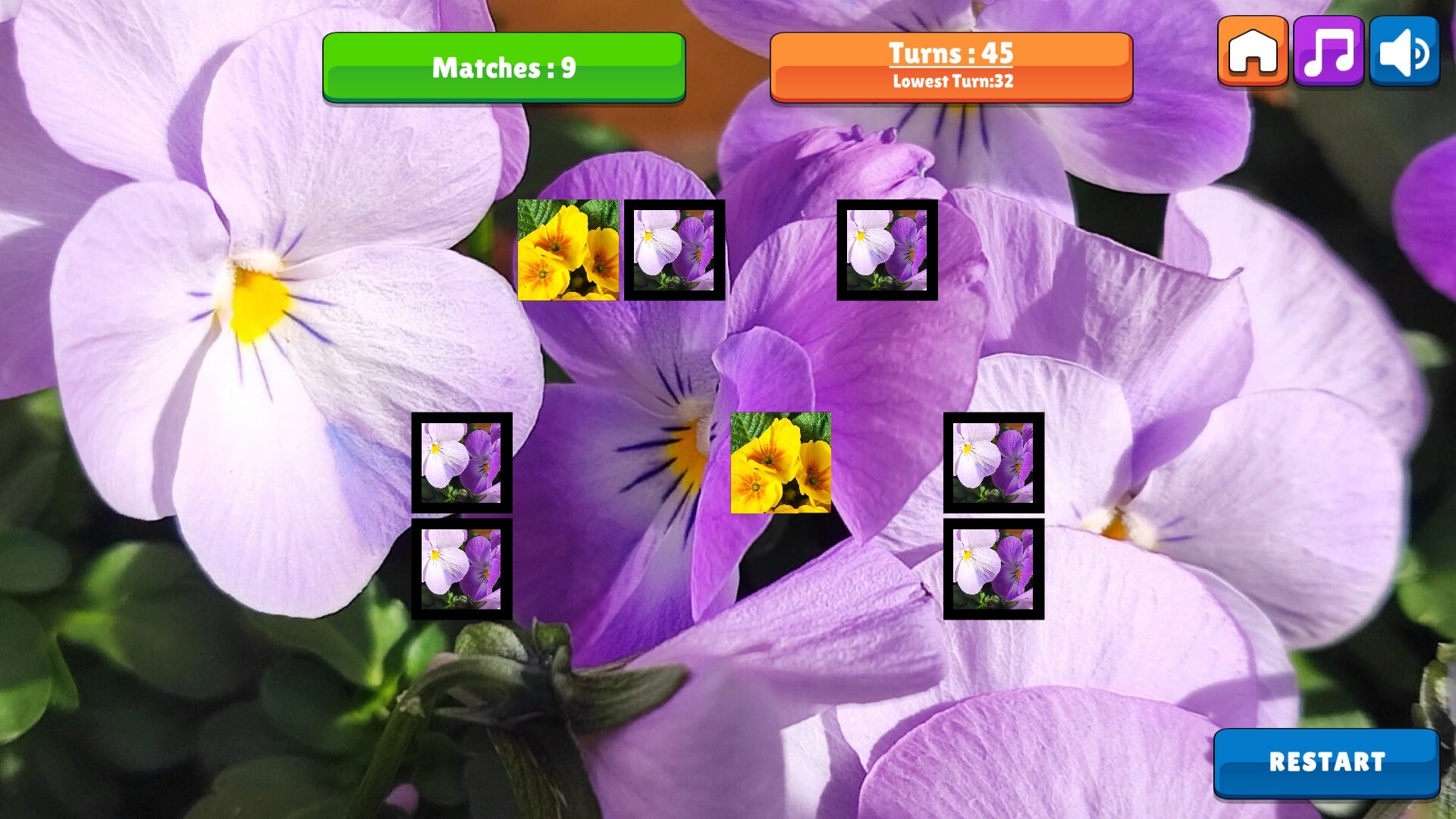 OG Memory: Spring 2K24