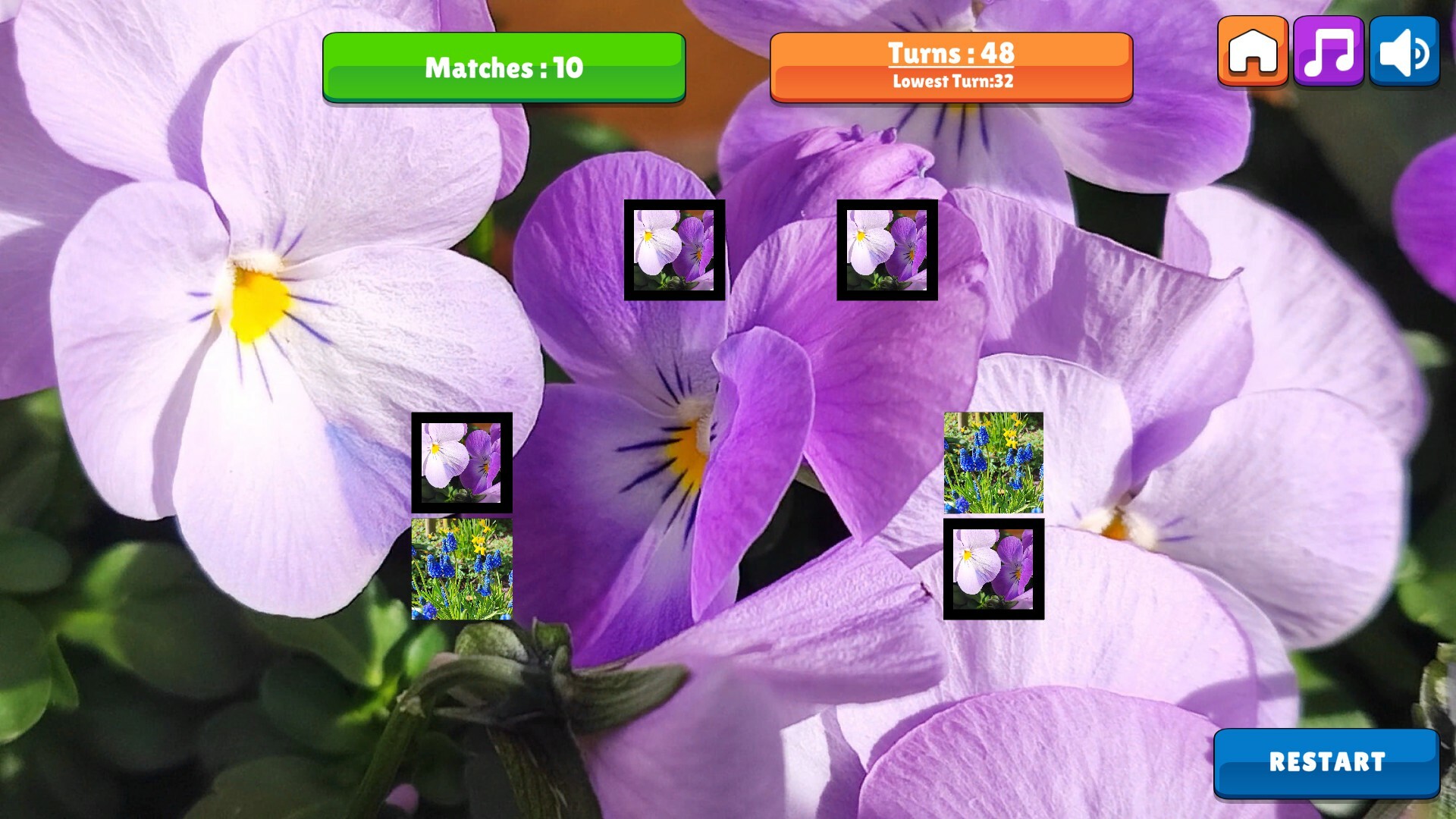 OG Memory: Spring 2K24