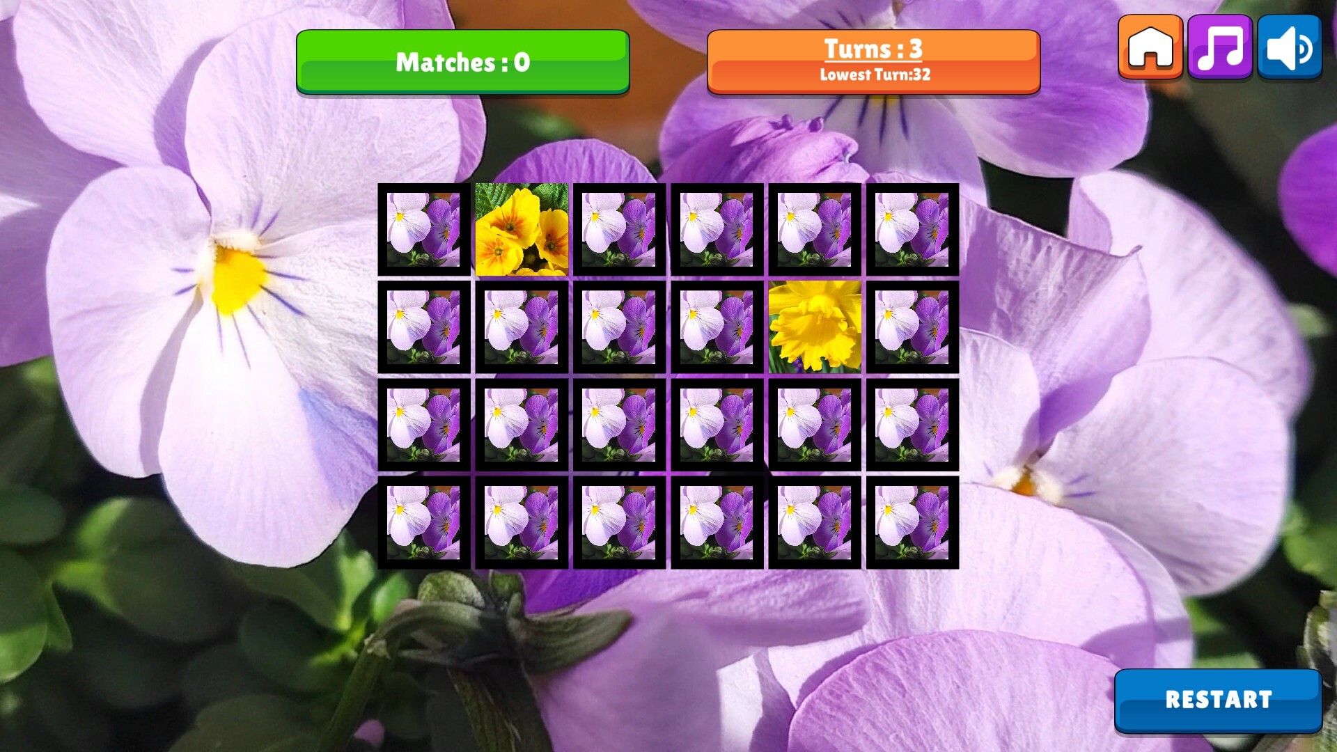 OG Memory: Spring 2K24