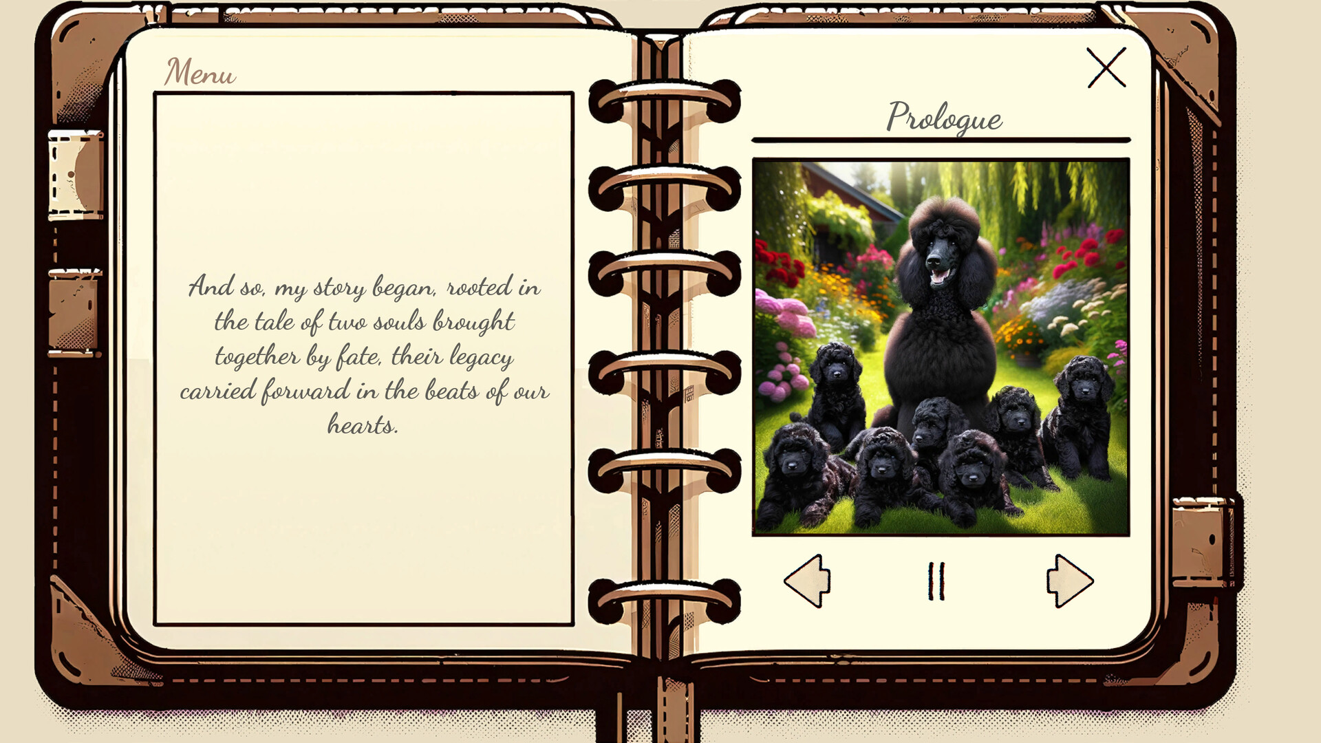 My Poodle’s Diary