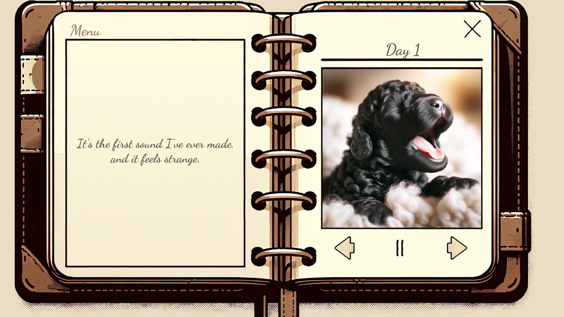 My Poodle’s Diary