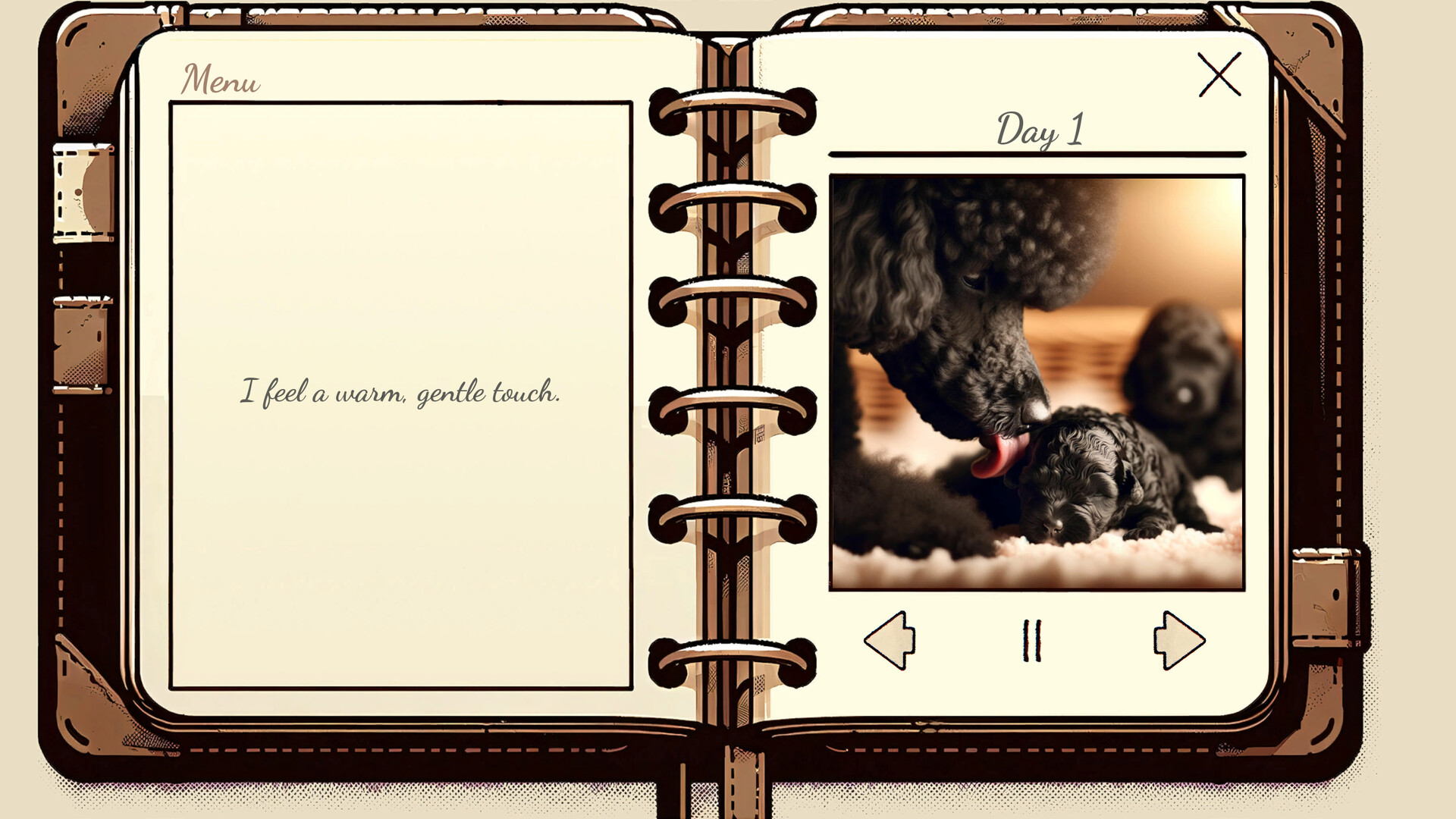 My Poodle’s Diary