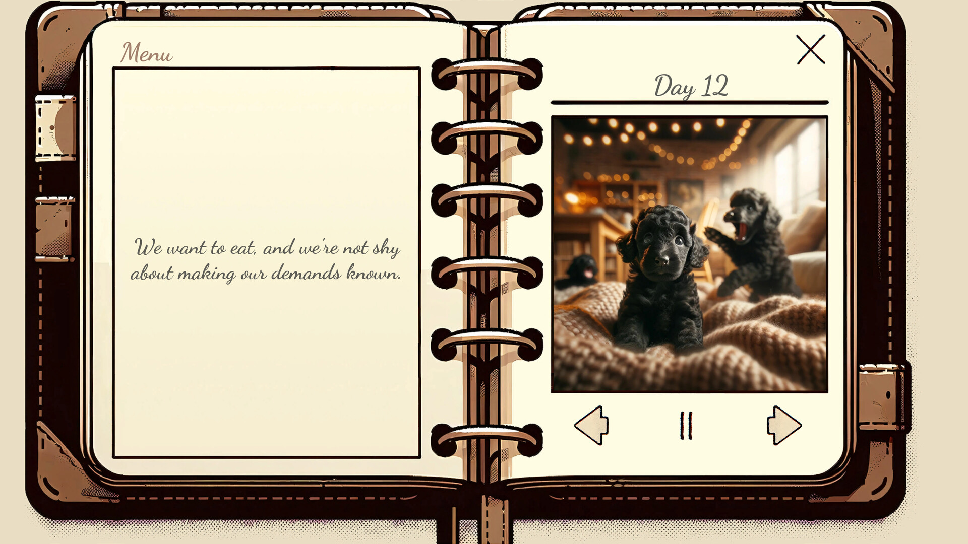 My Poodle’s Diary