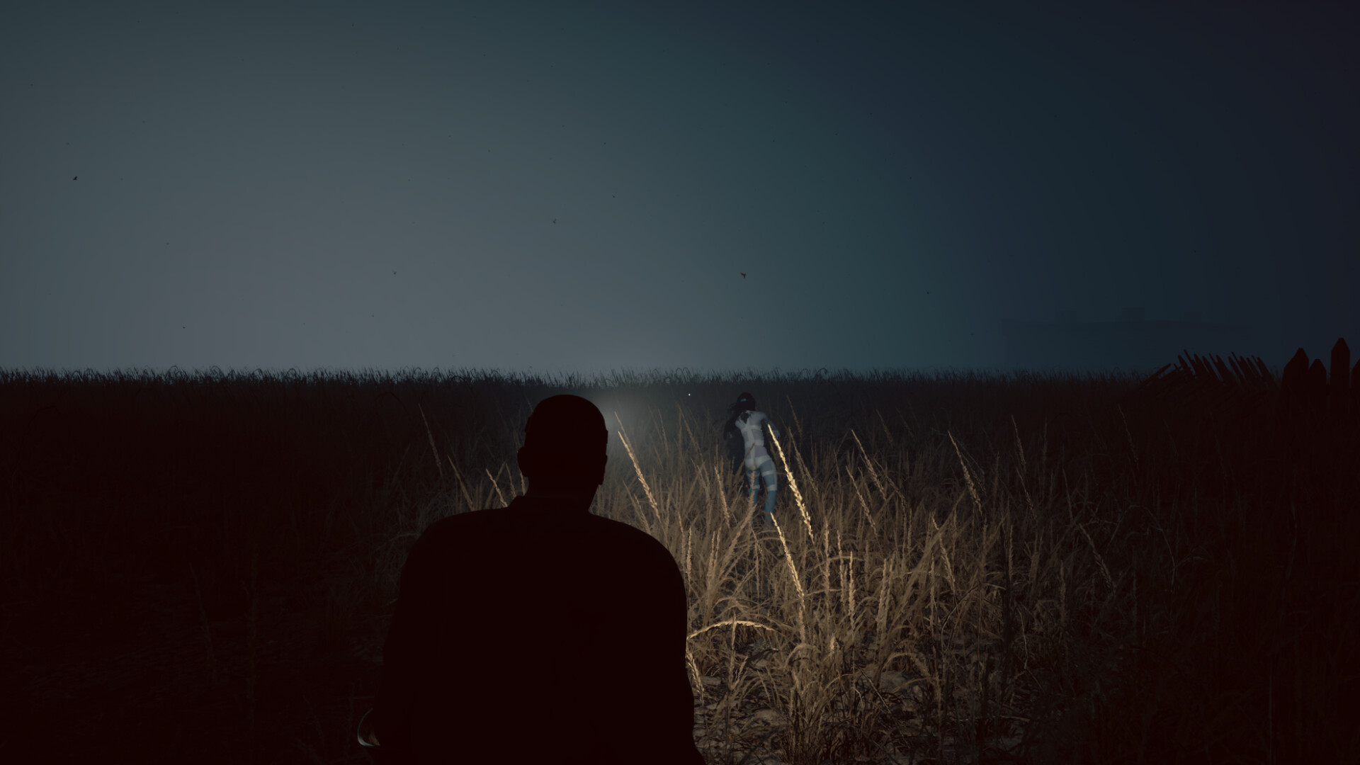 Abnormal 1999: Sector 49