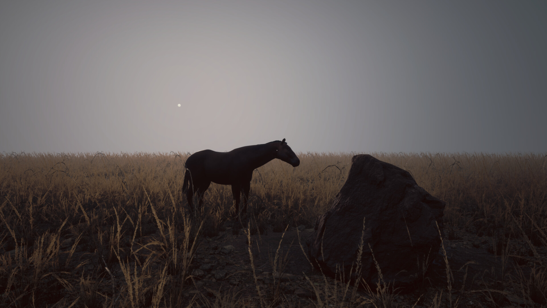 Abnormal 1999: Sector 49