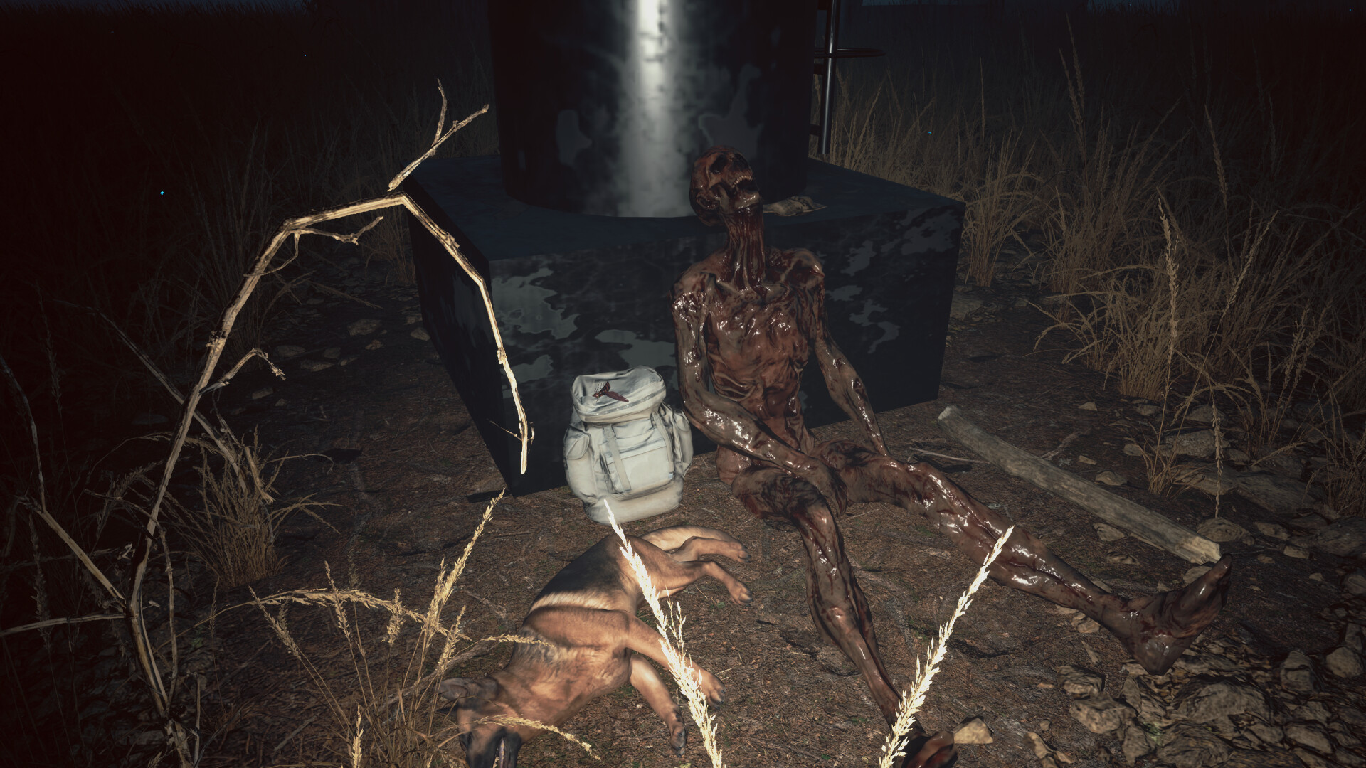 Abnormal 1999: Sector 49