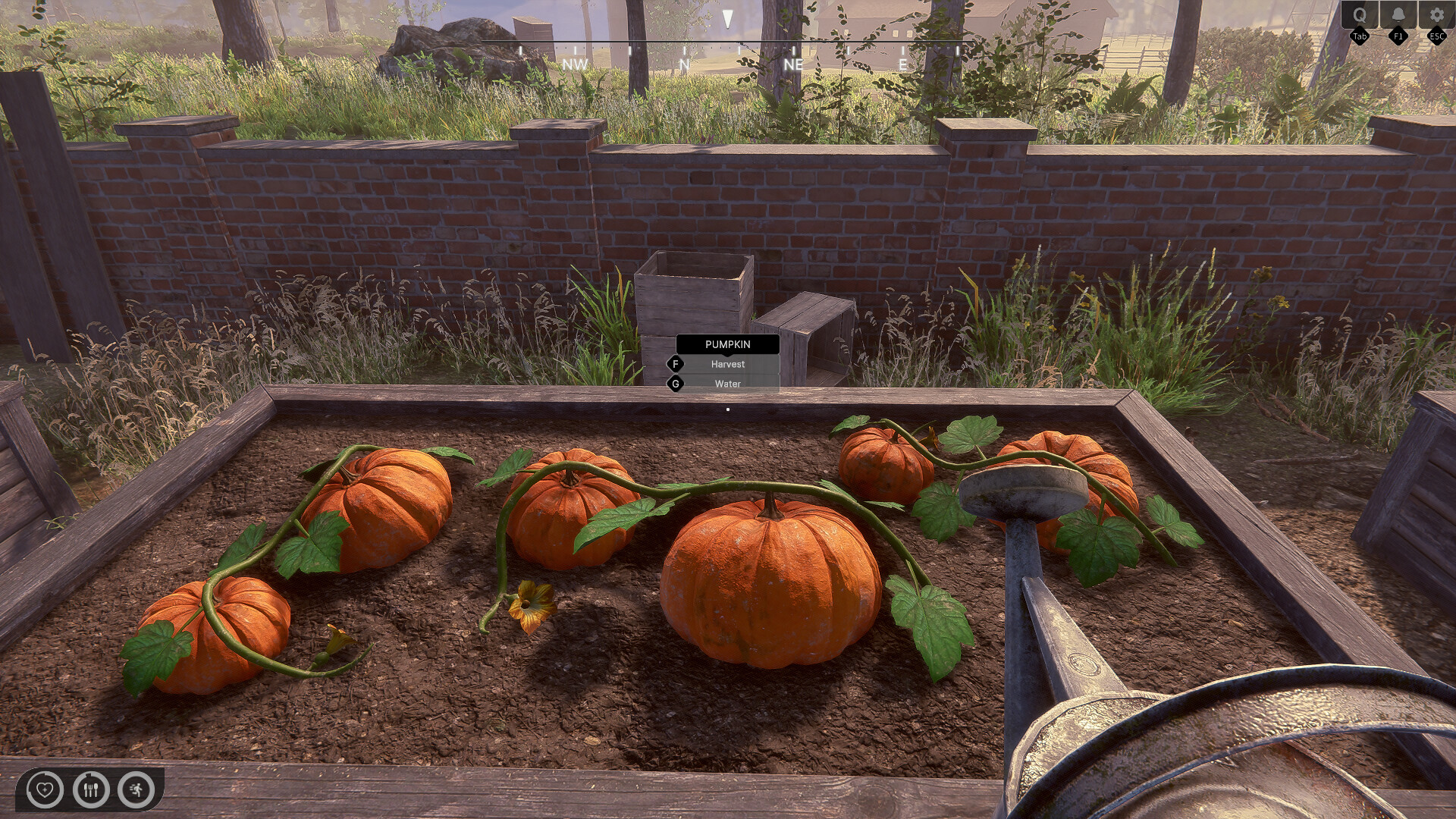 Rancher: A New Life