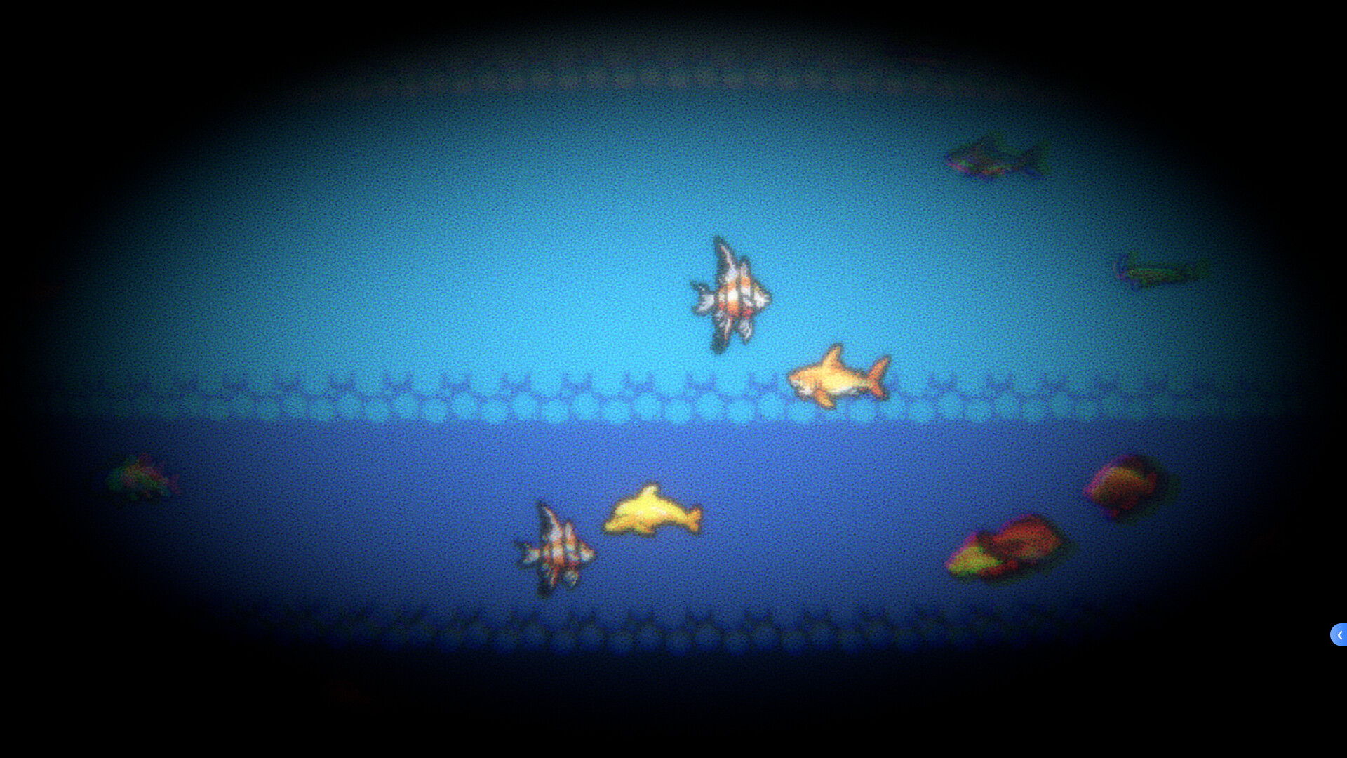 Little Fish Swims On