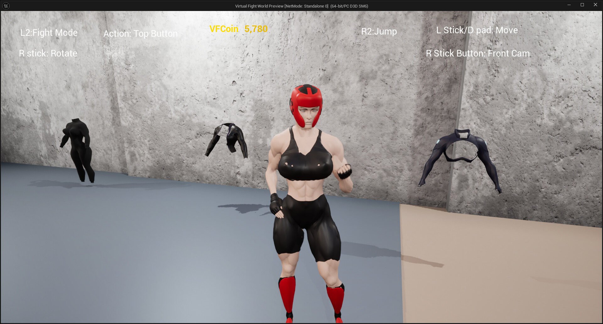 Virtual Fight World
