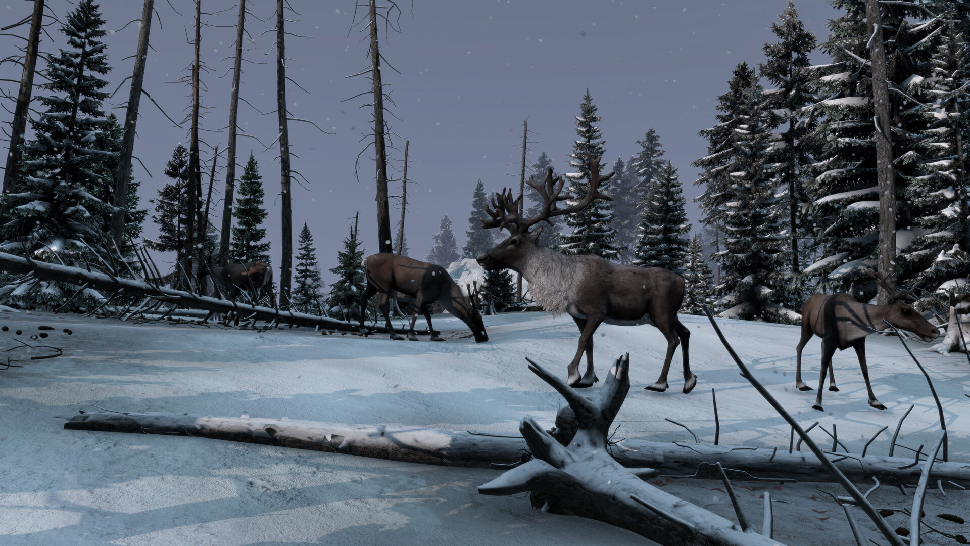 DayZ: Frostline