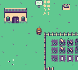 Melanie and the Magic Forest