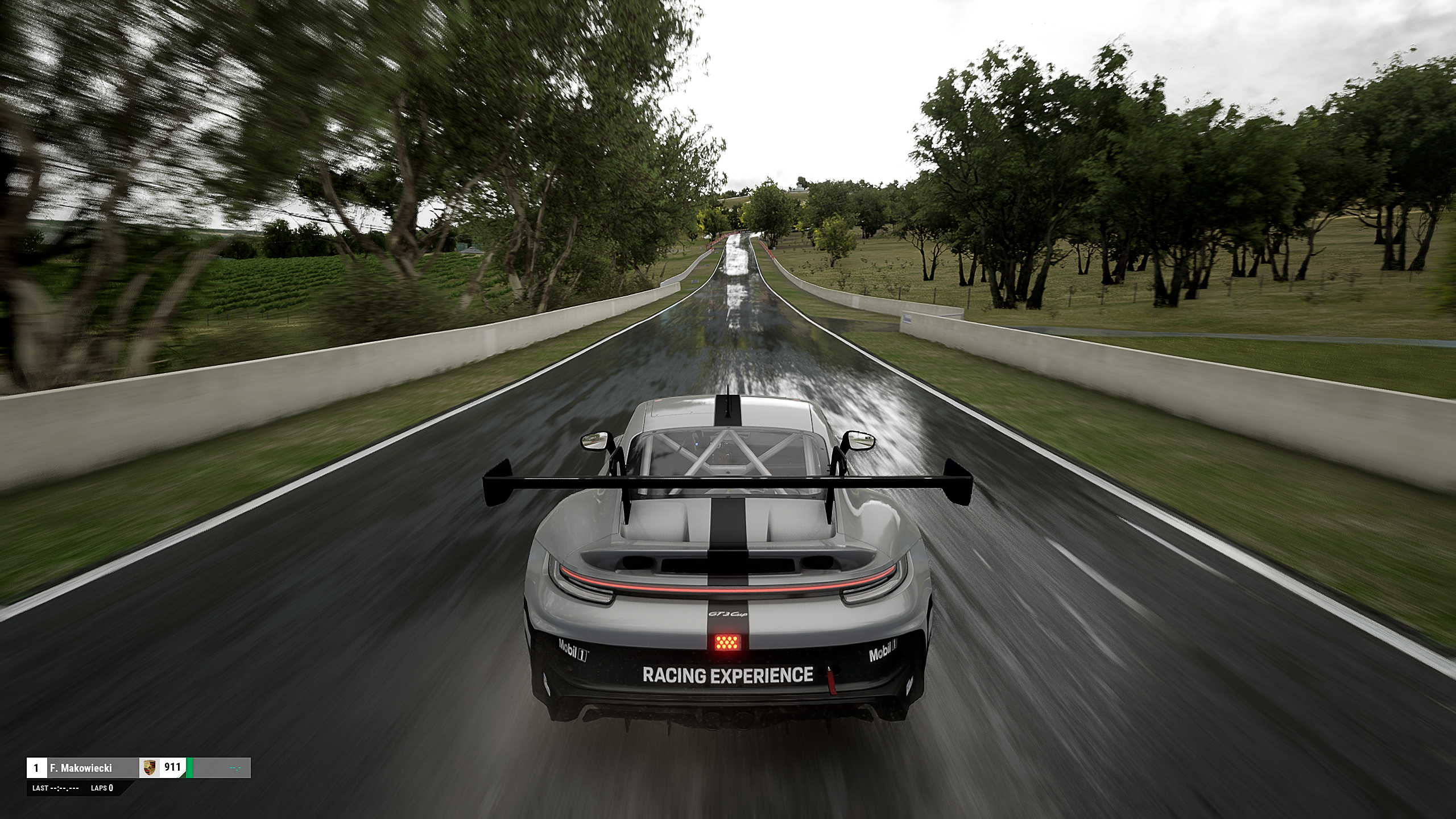 Assetto Corsa Competizione