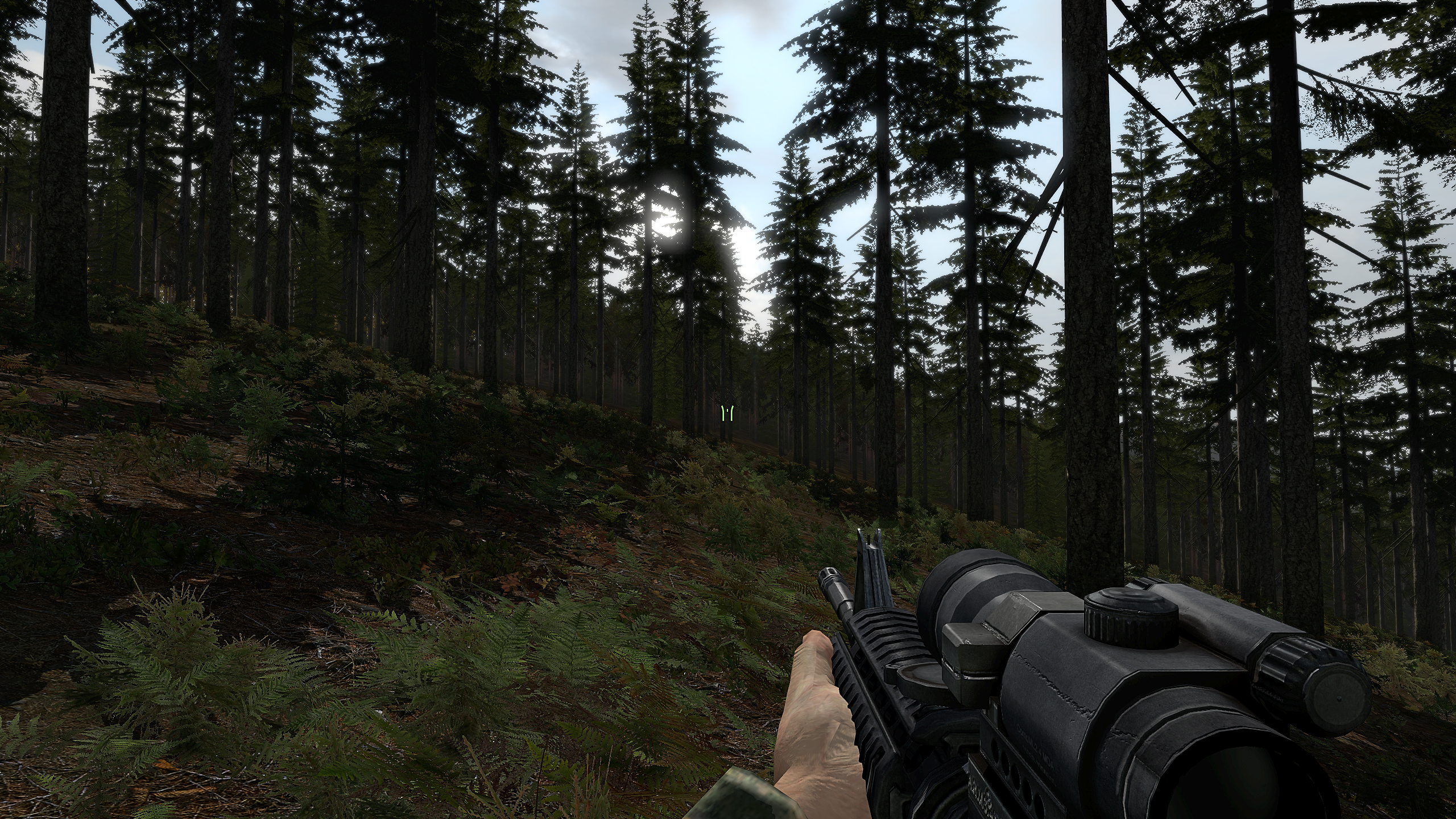 Arma 2