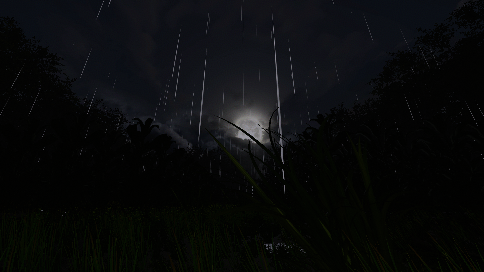 We Are Not Alone: Contact