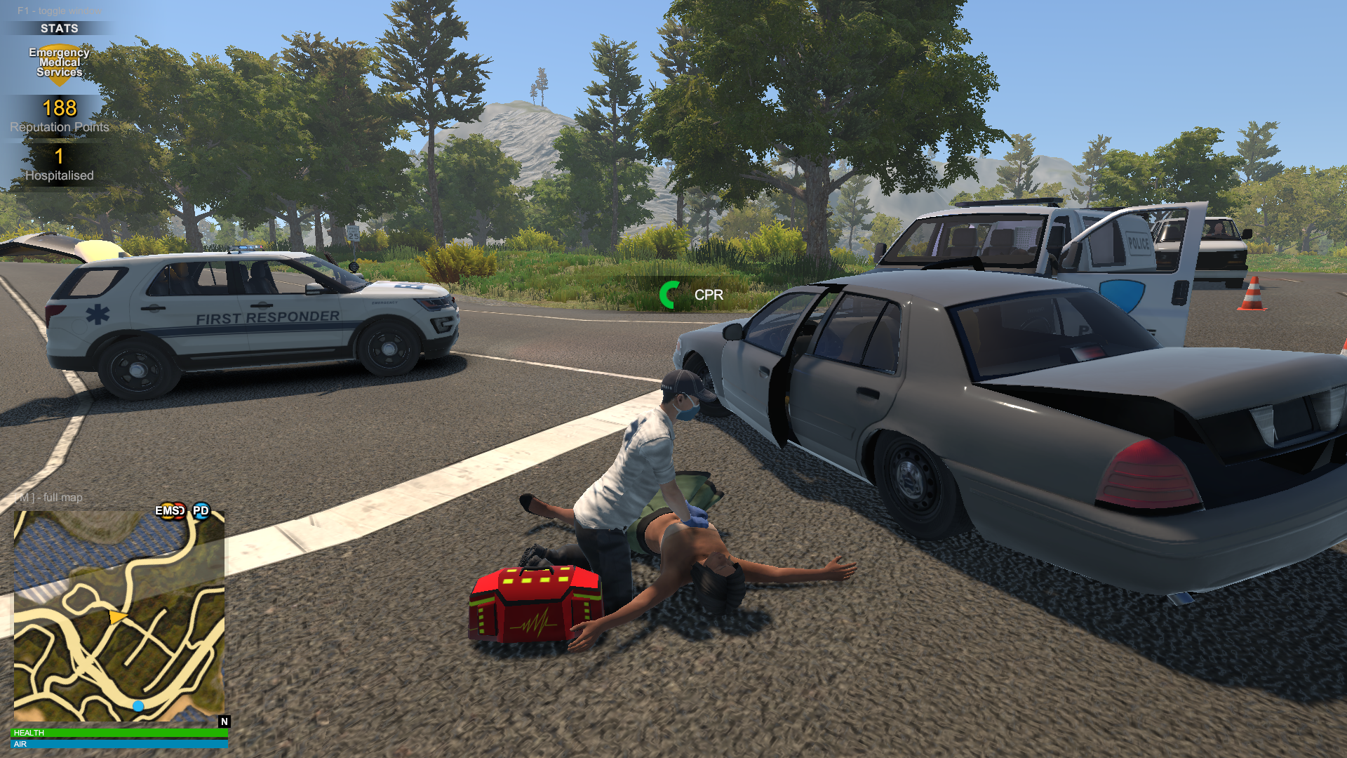 Flashing Lights: Police Fire EMS