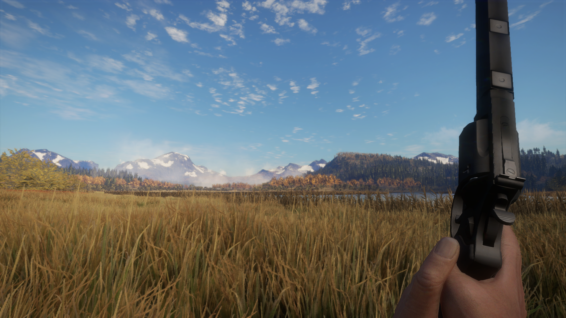 TheHunter: Call of the Wild