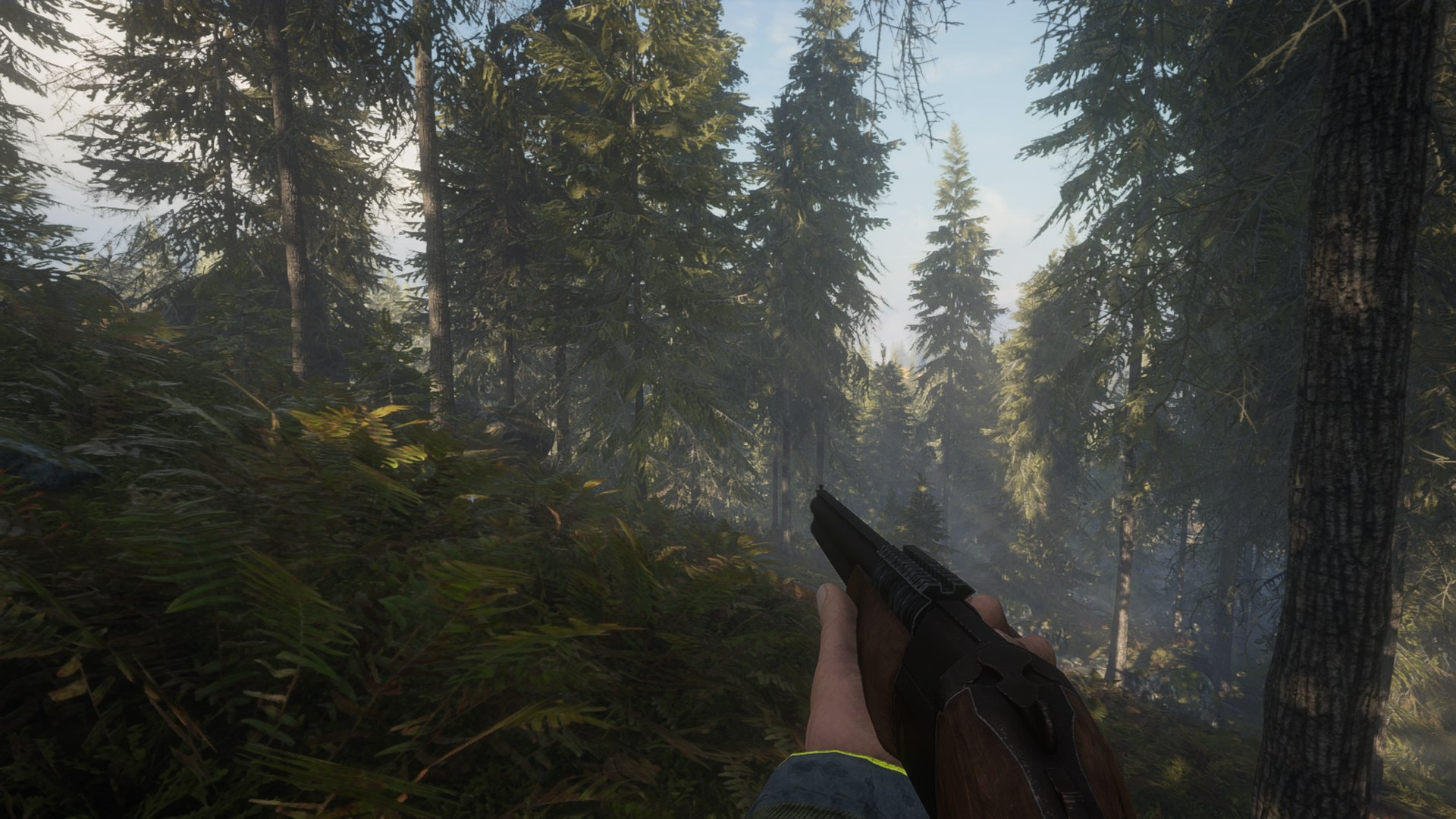 TheHunter: Call of the Wild