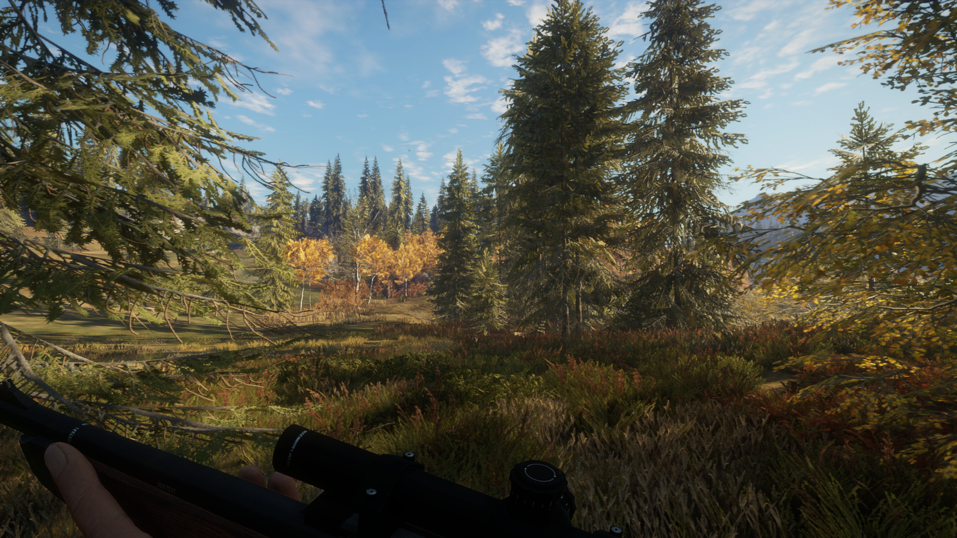 TheHunter: Call of the Wild