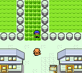 Pokémon Anniversary Crystal