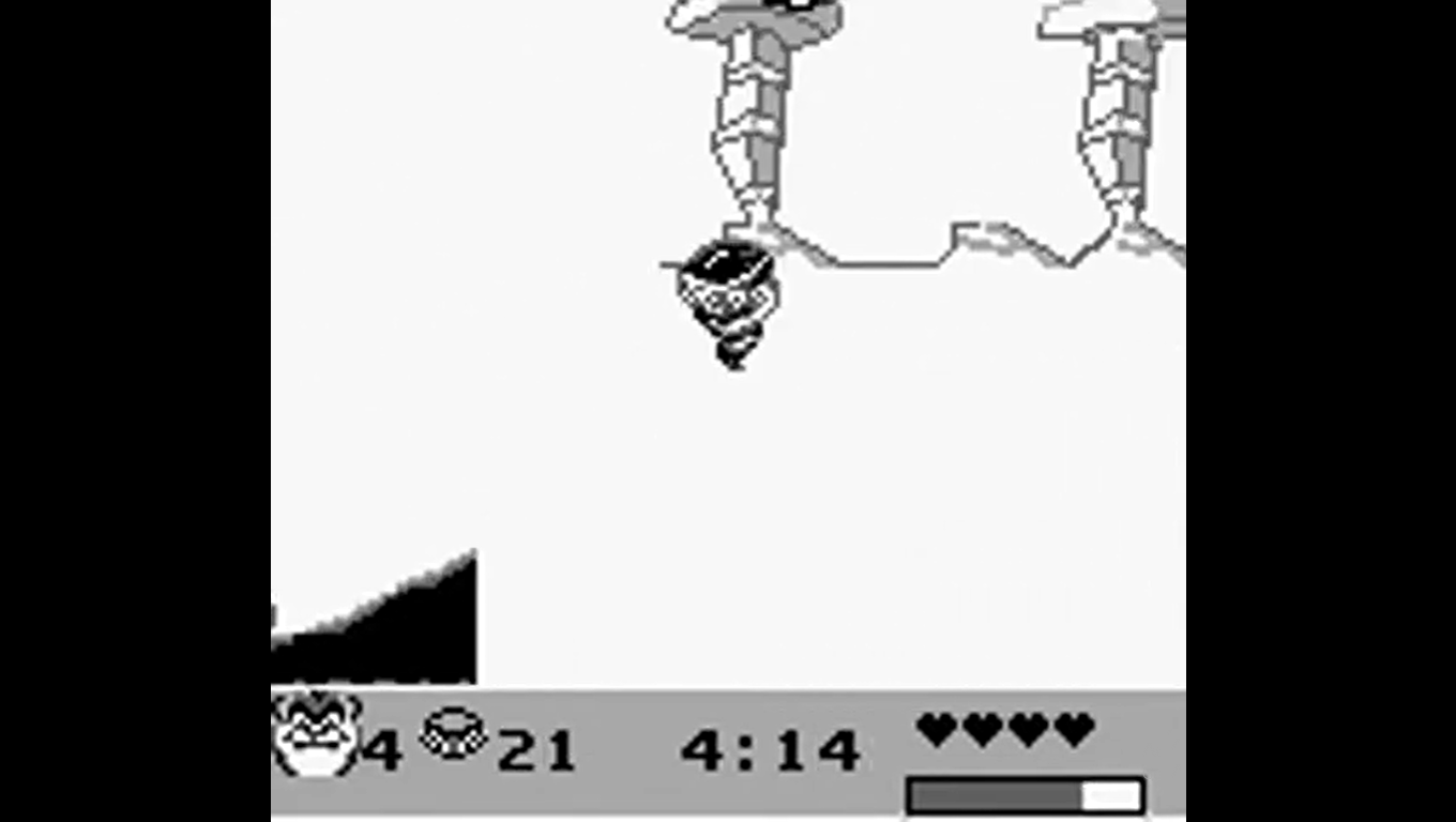 Taz-Mania 2