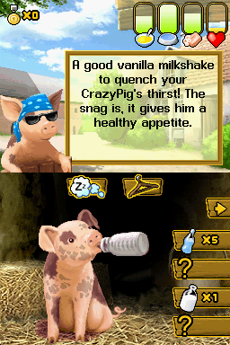 Crazy Pig