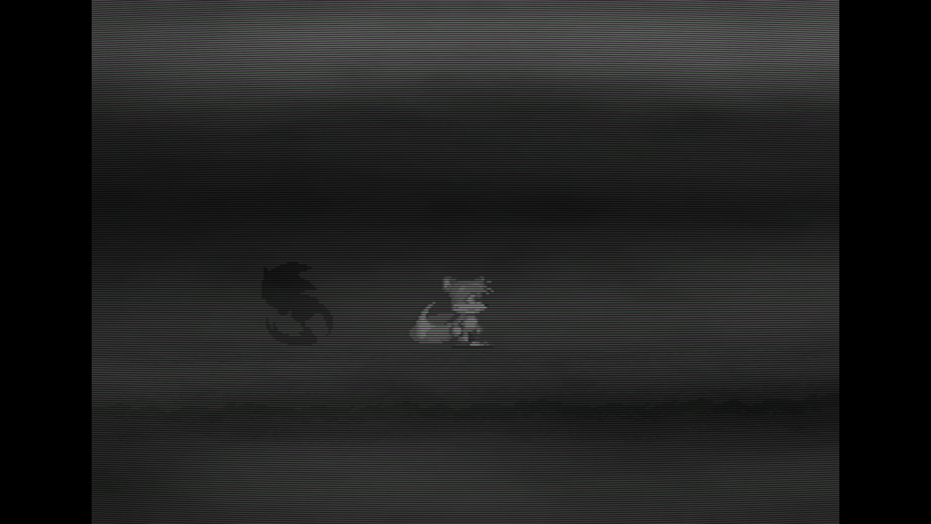 The Devil Within