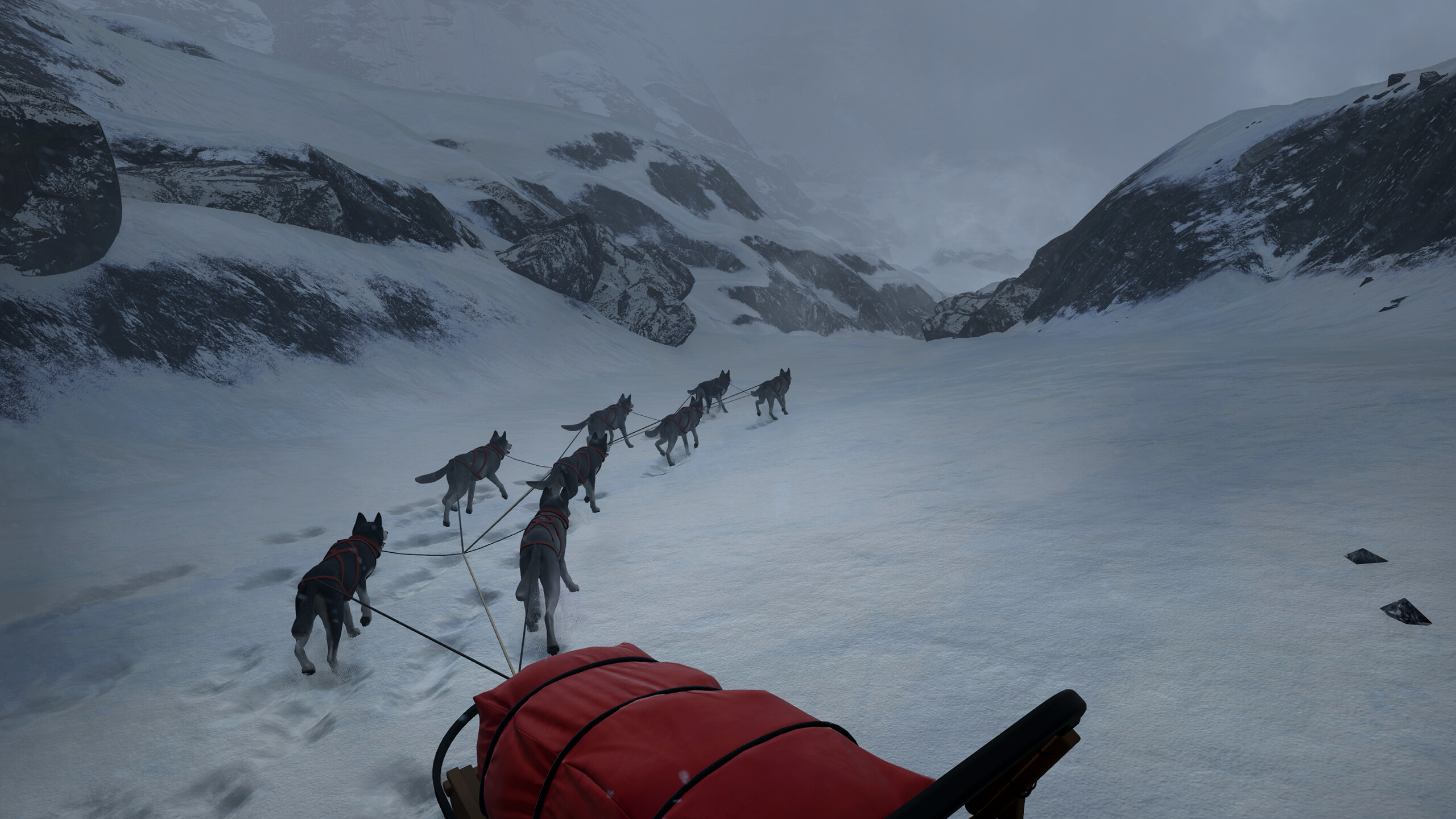 Will: Follow the Light