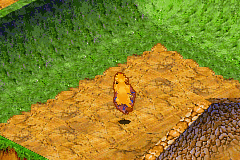 Disney’s Extreme Skate Adventure