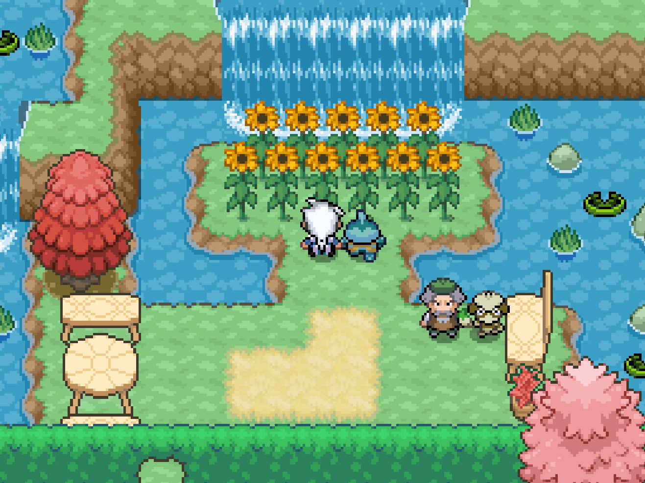 Pokémon Hero