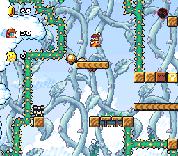 Daisy’s Crazy Adventure