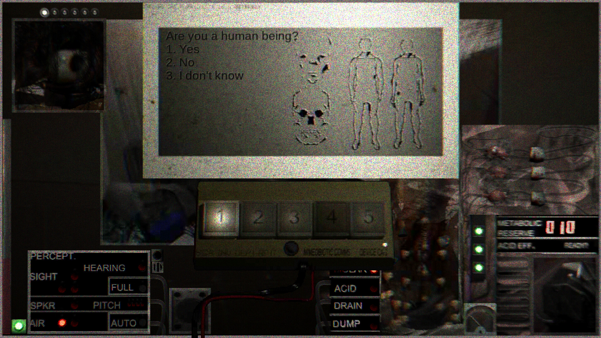 Plastic Spouse Interrogation