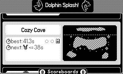 Dolphin Splash!