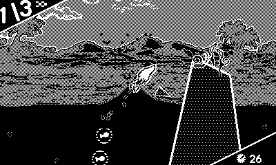 Dolphin Splash!