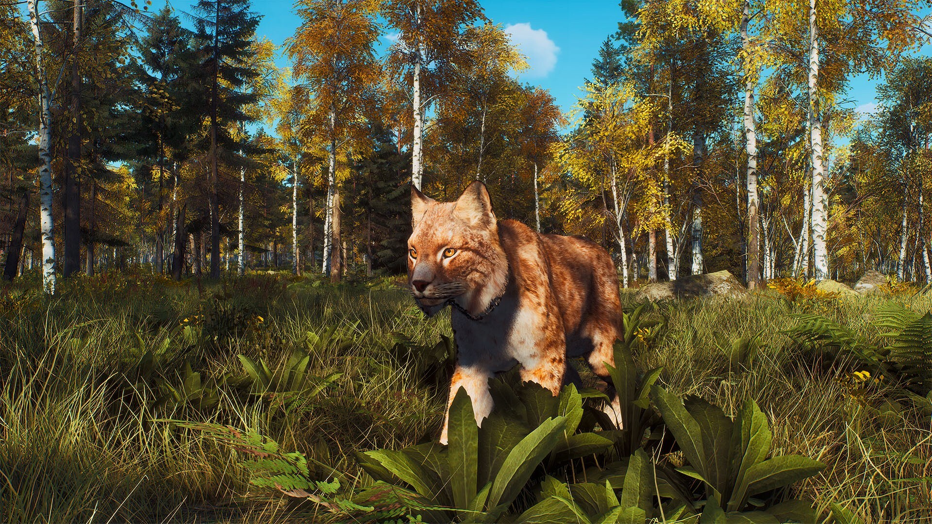 Way of the Hunter: Lintukoto Reserve