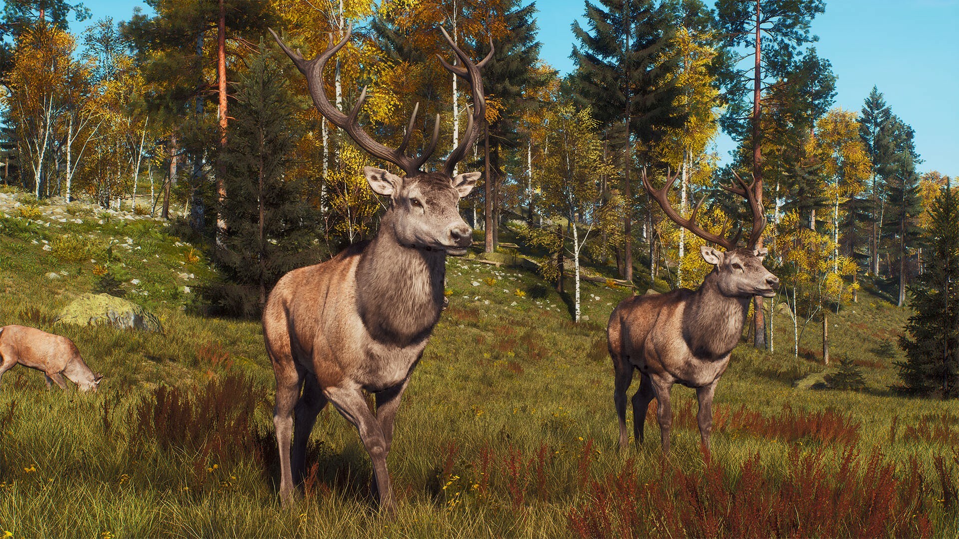 Way of the Hunter: Lintukoto Reserve