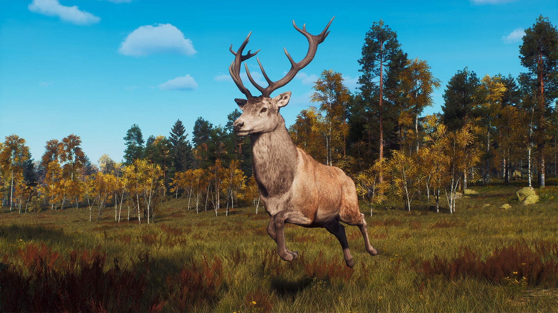 Way of the Hunter: Lintukoto Reserve