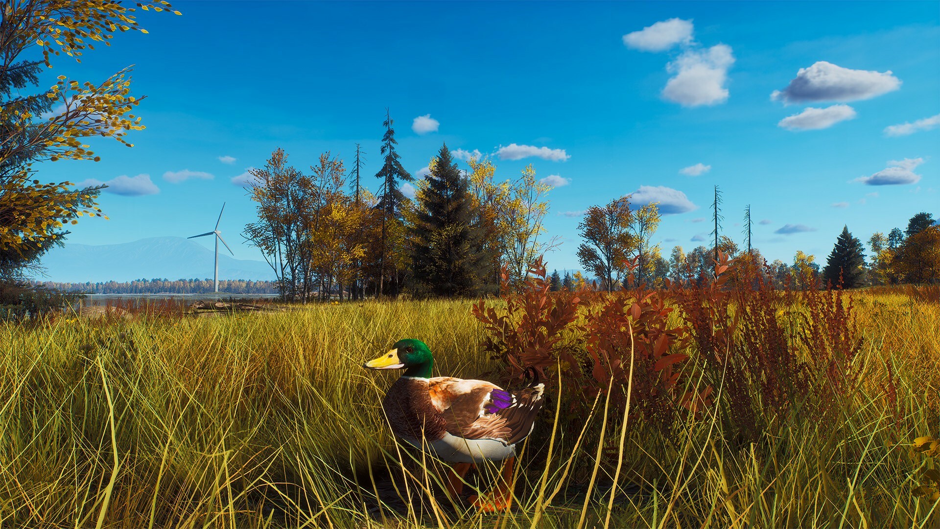 Way of the Hunter: Lintukoto Reserve