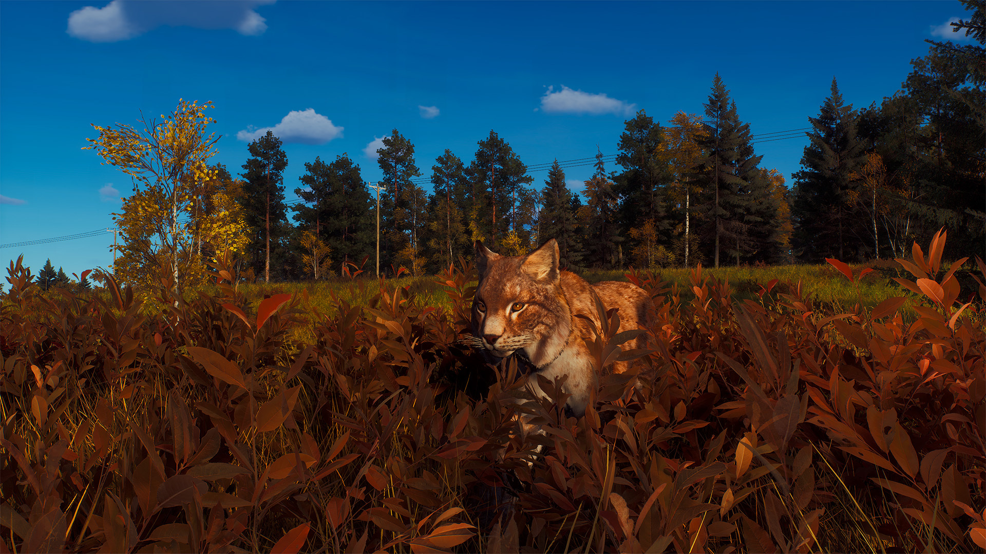 Way of the Hunter: Lintukoto Reserve