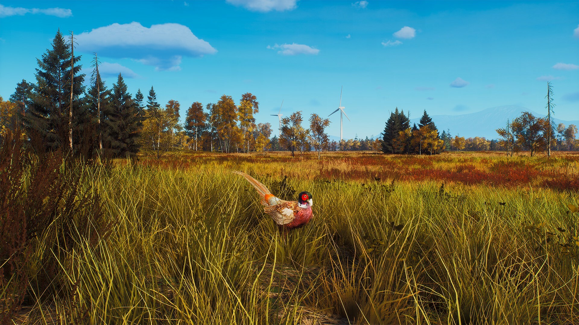 Way of the Hunter: Lintukoto Reserve