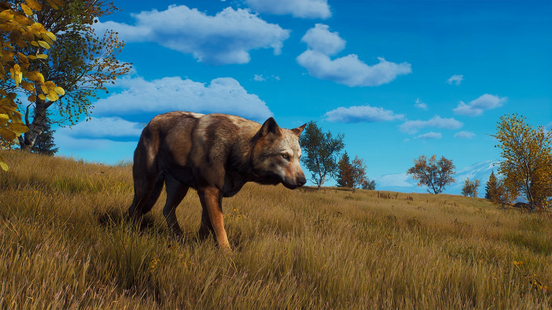 Way of the Hunter: Lintukoto Reserve