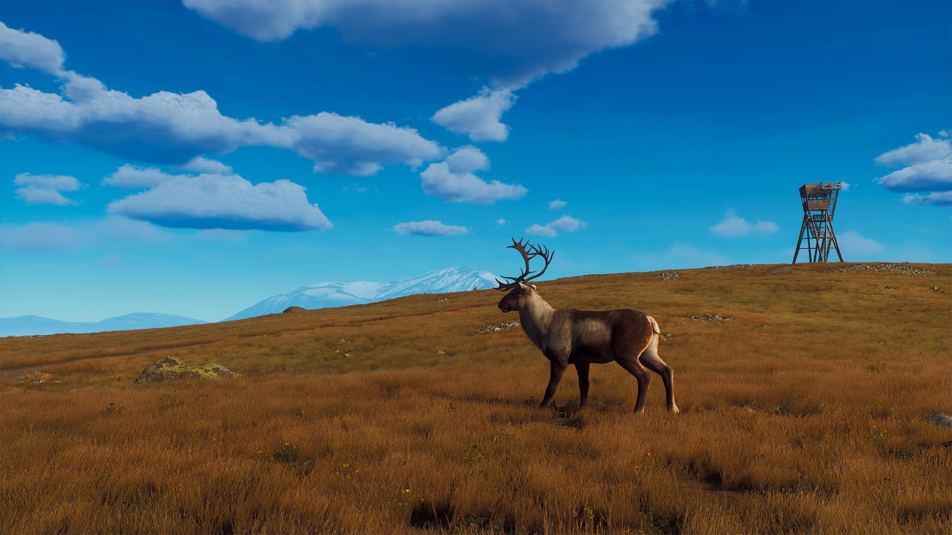 Way of the Hunter: Lintukoto Reserve