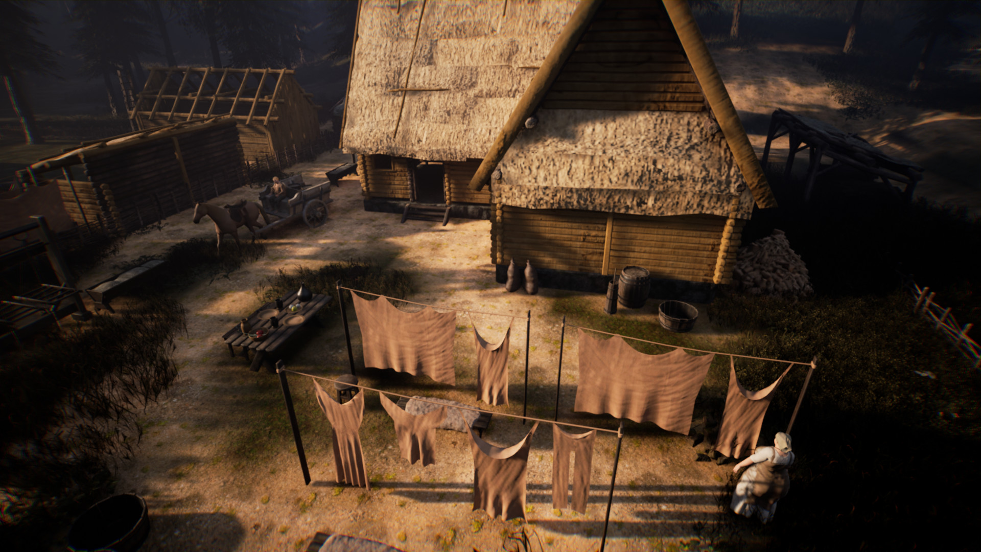 Medieval Frontiers