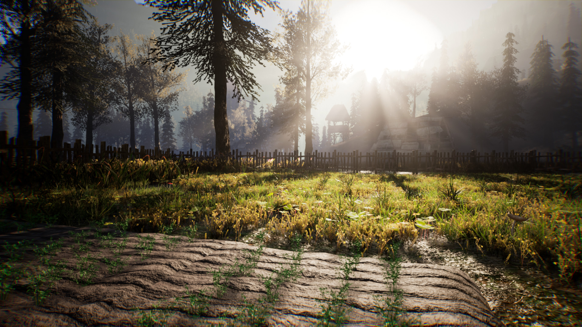 Medieval Frontiers
