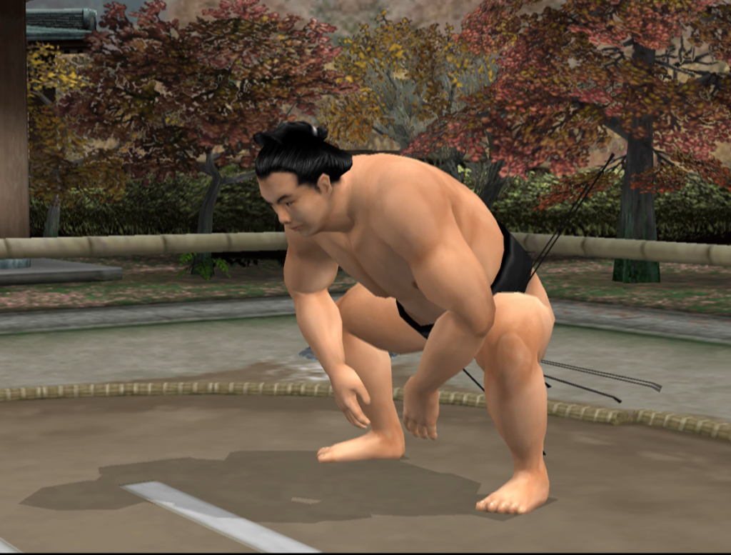 Nihon Sumo Kyokai Kounin: Nihon Oozumou Gekitou Honbasho-hen