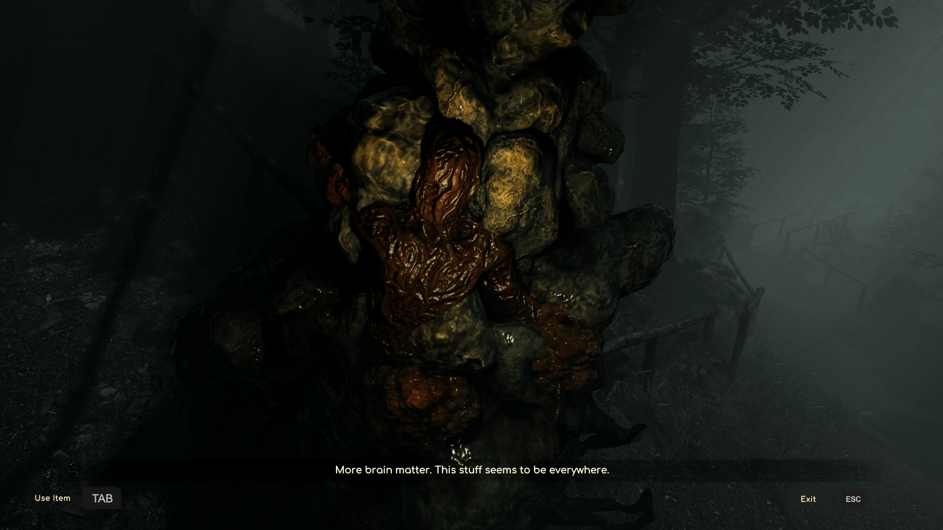 Connection: The Nightmare Within