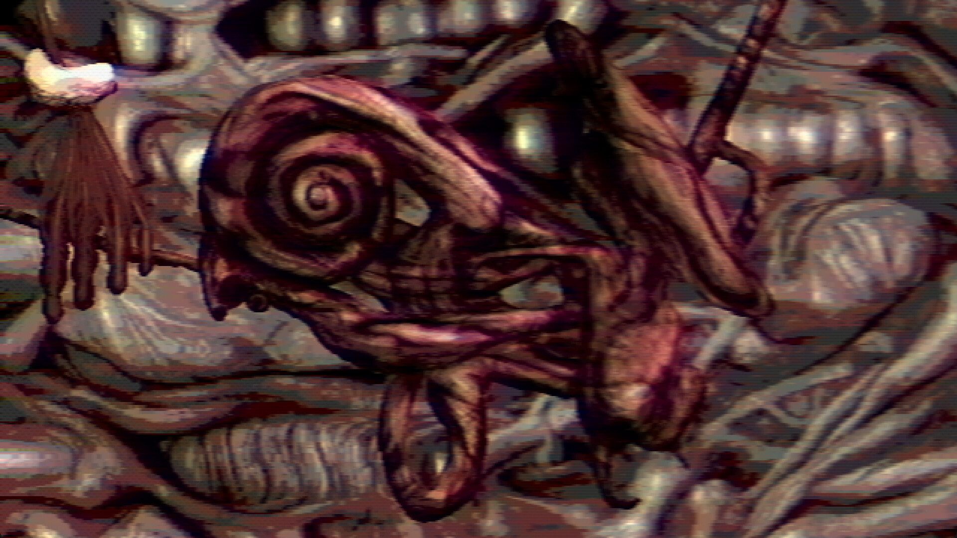 Navicula Meatus