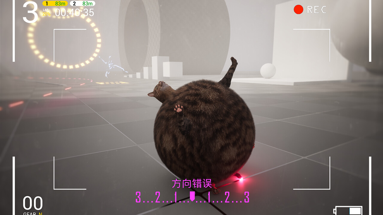 Cat Drift